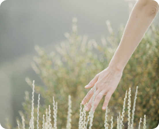 Ateliers Naturopathe Perpignan