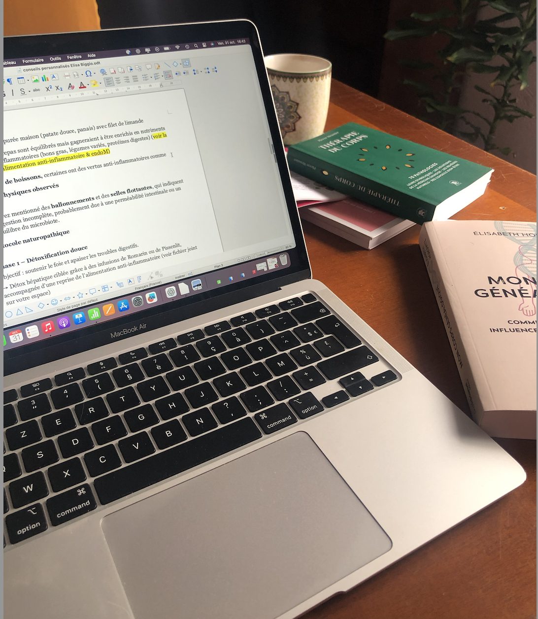 naturopathie holistique